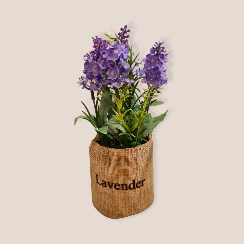 Planta Lavanda en Canasto de Lino 22cm