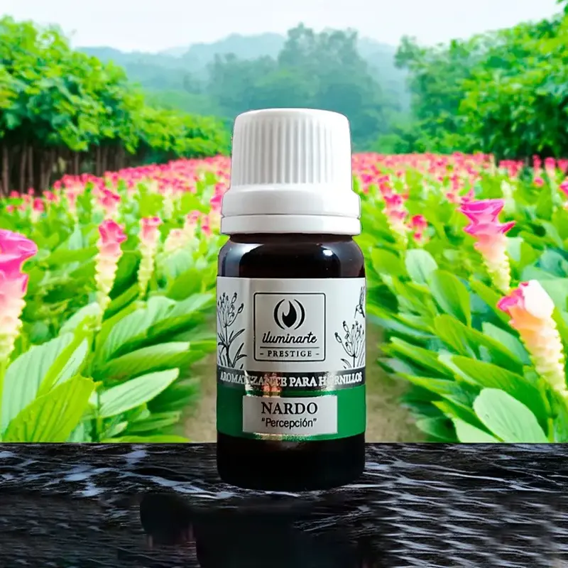 Aceite para Hornillos Nardo x10ml
