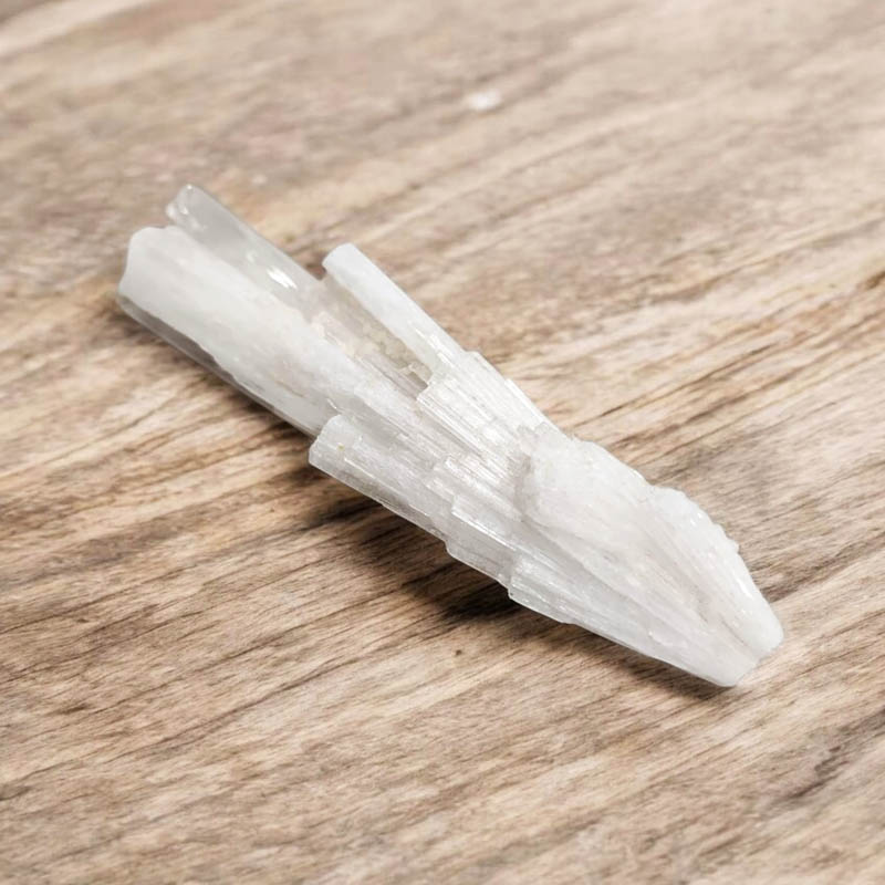 Escolecita 13cm