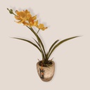 Planta Hojas Grandes Flor Amarilla 27cm