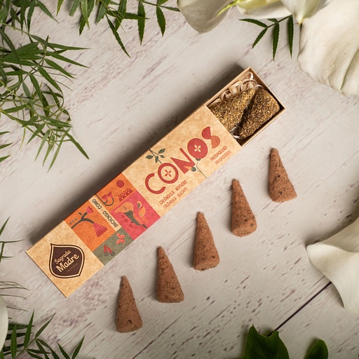 Aceite para Hornillo Roseto Fragance Oil Santal 35ml