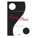 Feng Shui Problema/Solución, Ernesto Spezzafune