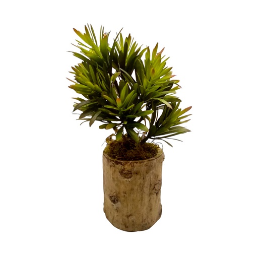 Planta Artificial con Maceta Simil Tronco 25cm