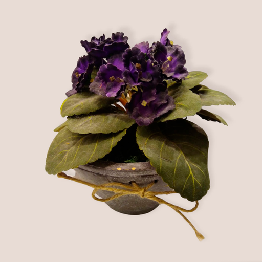 Planta Flor Violeta con Maceta 18cm
