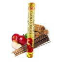 Sahumerio Hem Canela Manzana x20u