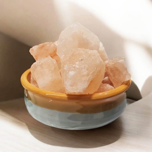 Sahumerio Hem Magnolia x20u