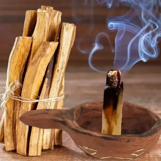 Palo Santo x100g
