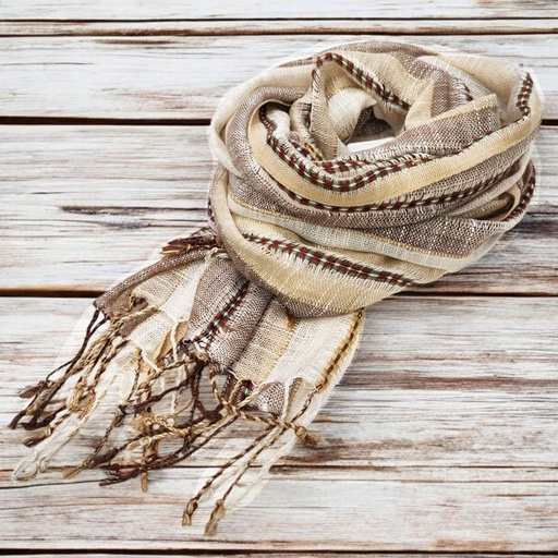 Pashmina India Modelo N°2