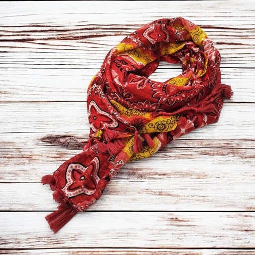 Pashmina India Modelo N°21