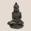 Hanuman Resina Negro 15cm