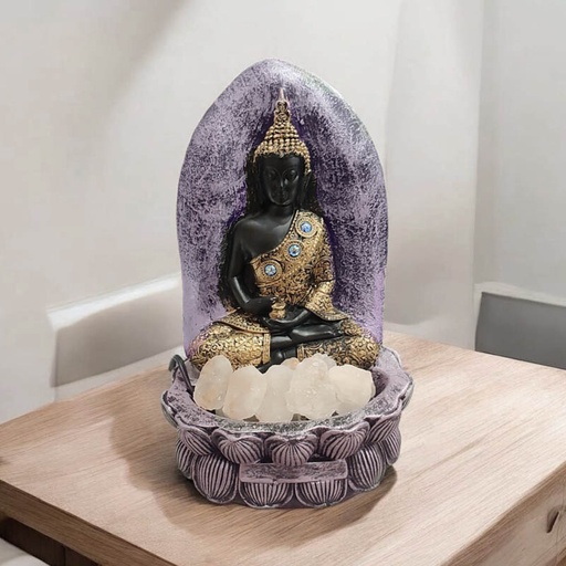 Lampara de Sal Buda Negro Manto Dorado en Altar