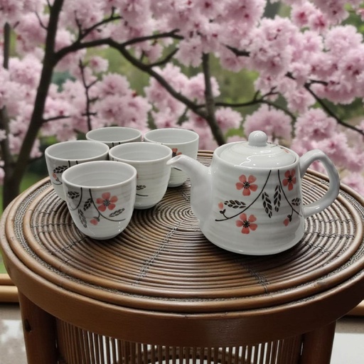 Juego de Tetera con 5 Tazas