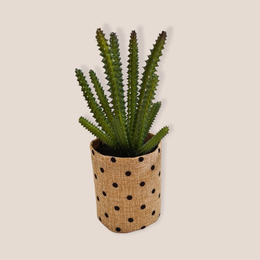 Cactus en Canasta de Lino 22cm